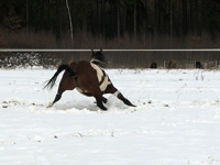 IMG_8818a.jpg