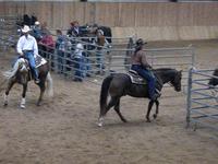 IMG_0528.jpg