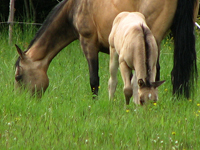 IMG_6259.jpg