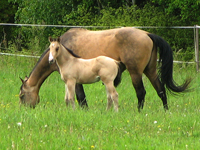 IMG_6265.jpg