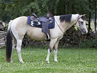 G_8653.jpg
