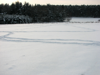 IMG_18714.jpg