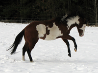 IMG_8790a.jpg