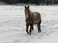 IMG_8791a.jpg